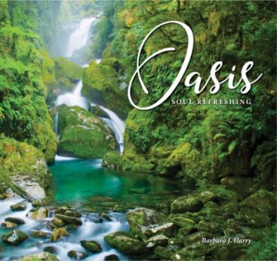 Oasis_Soul_Refreshing